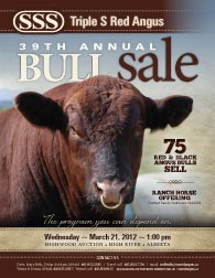 Bull Sale
