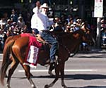Dave riding in the 2013 Calgary Stampede parade